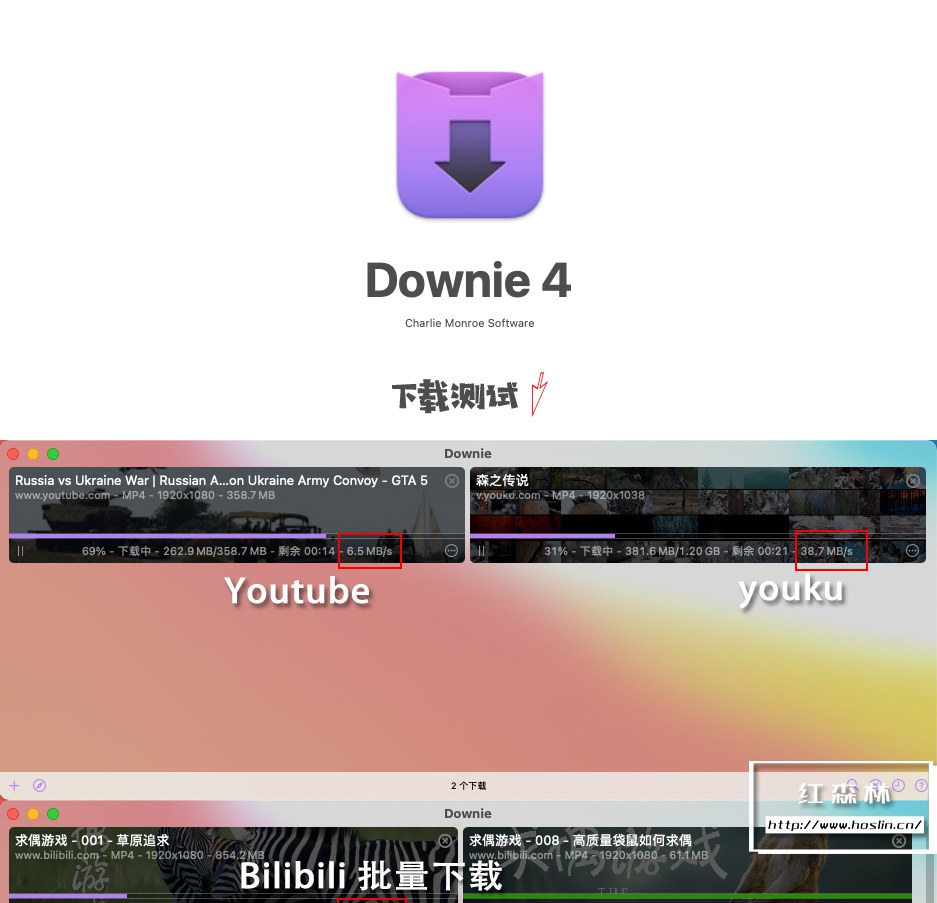 【Mac软件】Mac电脑强大好用的在线视频下载软件 Dowine 4.4.11(4373) 中文版插图(1)