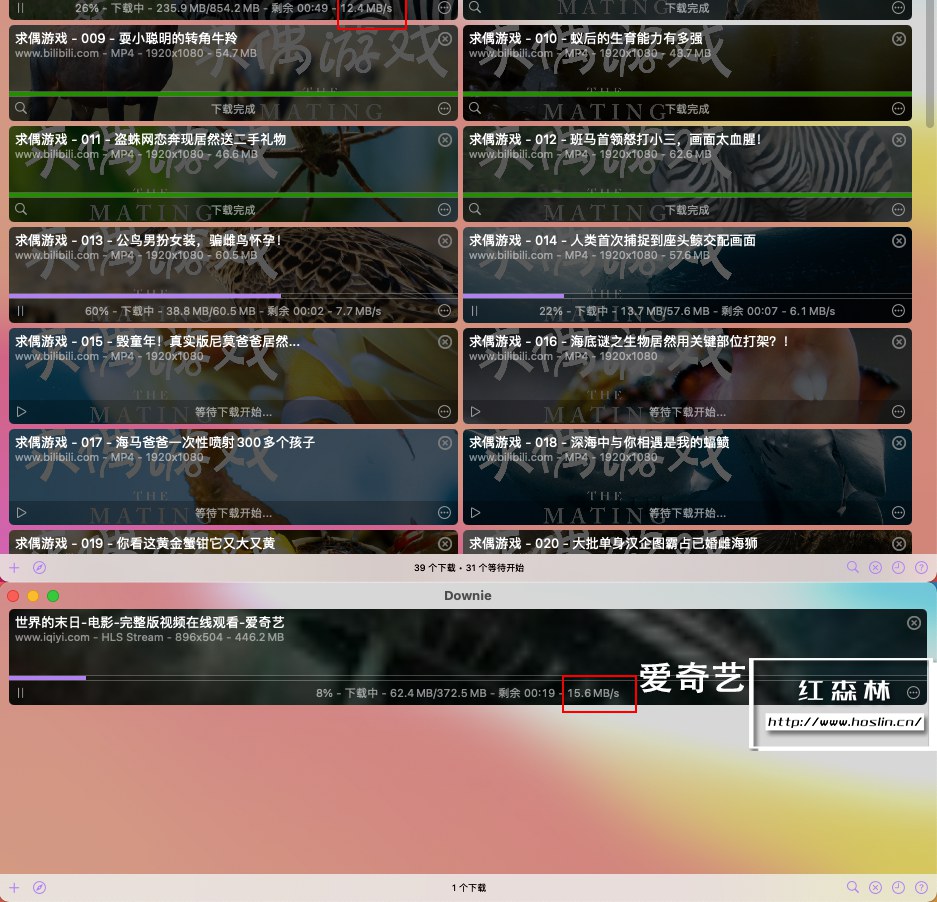 【Mac软件】Mac电脑强大好用的在线视频下载软件 Dowine 4.4.11(4373) 中文版插图(2)