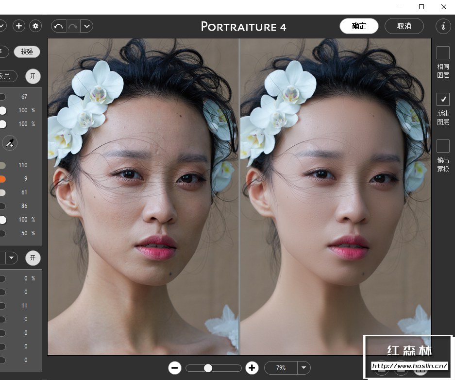 【PS插件】PS磨皮美肤调色影楼自动批量磨皮滤镜中文插件 Imagenomic Portraiture v4.0.3 Win汉化中文版插图(2)