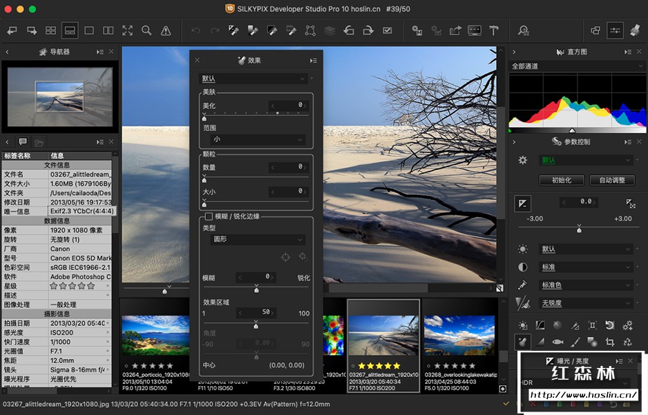 【软件】专业RAW照片处理编辑软件 SILKYPIX Developer Studio Pro 10.0.13.0 中文版 支持Win/Mac系统插图(19)