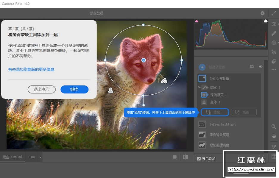 【ACR滤镜】Adobe Camera Raw滤镜 14.0.0.950 支持Win系统插图(3)