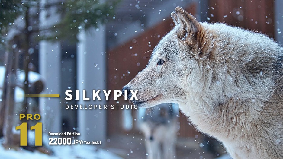 【软件】专业RAW照片处理编辑软件 SILKYPIX Developer Studio Pro 11.0.7.0 Win/Mac中文版插图