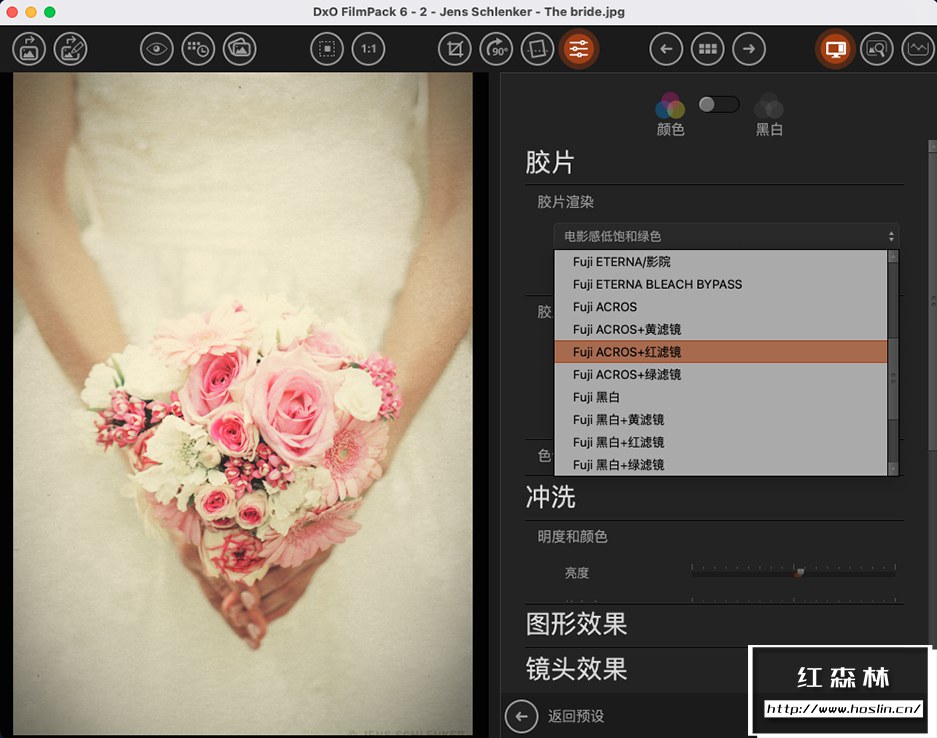 【软件/PS插件】照片摄影创意胶片模拟调色软件PS插件 D.x.O FilmPack V6.5.0.324 Mac中文版插图(2)