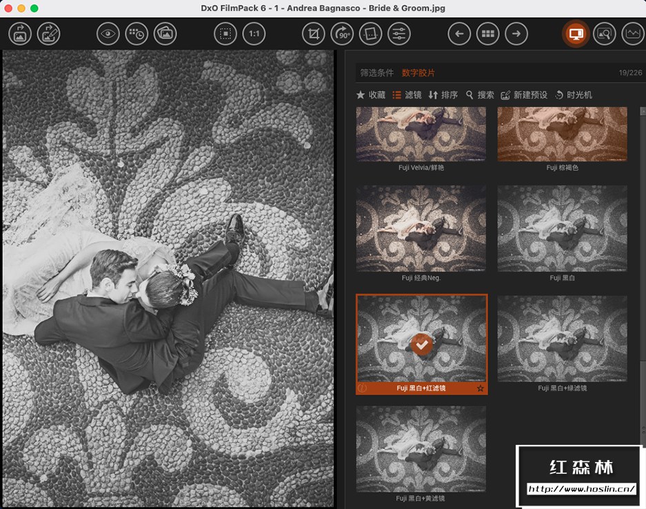 【软件/PS插件】照片摄影创意胶片模拟调色软件PS插件 D.x.O FilmPack V6.5.0.324 Mac中文版插图(3)