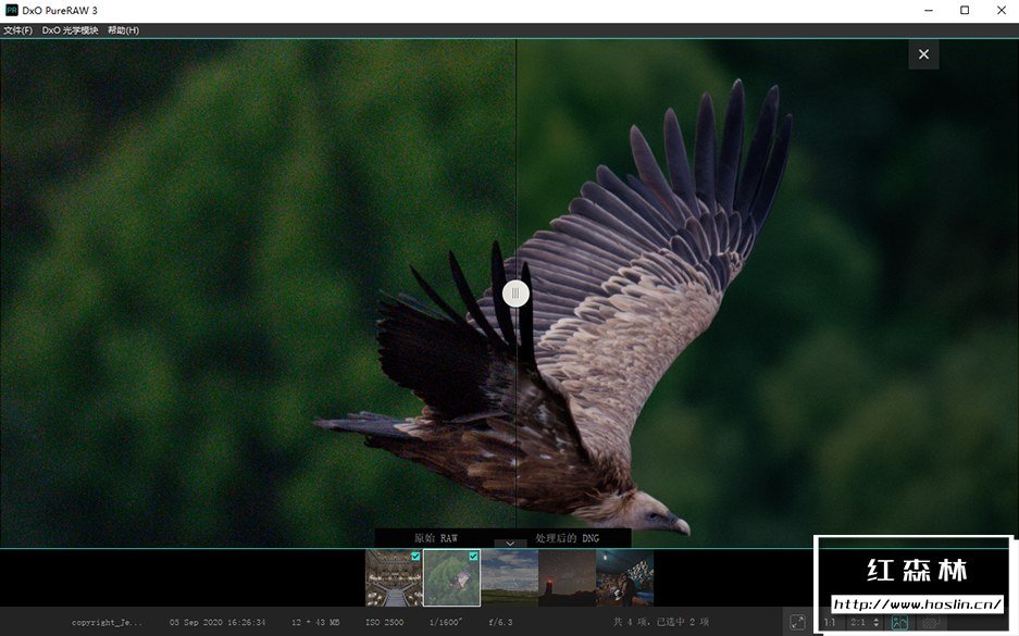 【软件】RAW照片处理修正软件 D.x.O PureRaw 3.0.0(9) 中文版 支持Win/Mac插图(6)